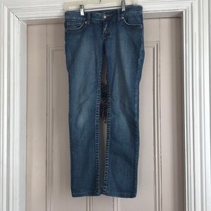 YMI  7” rise pencil boot jeans